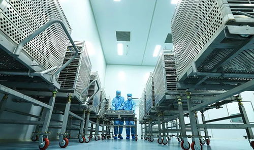 科技賦能植物工廠，張掖農特產品提質增效